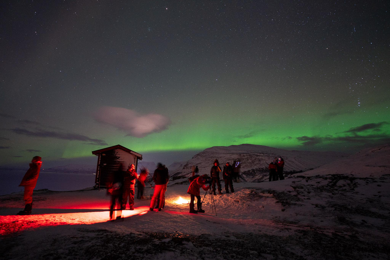 Kiruna: Abisko Northern Lights Tour with photos & transfers