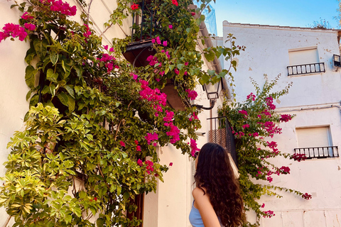 From Seville: White villages & Ronda day trip