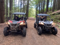 Vanuit Madeira, Private Buggy Rijervaring met Pickup - Hizvo
