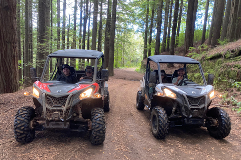 Madeira: Private Off-Road Buggy Driving Experience