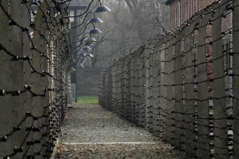 Desde Cracovia: tour guiado a Auschwitz-Birkenau y trasladosTour compartido en español con punto de encuentro