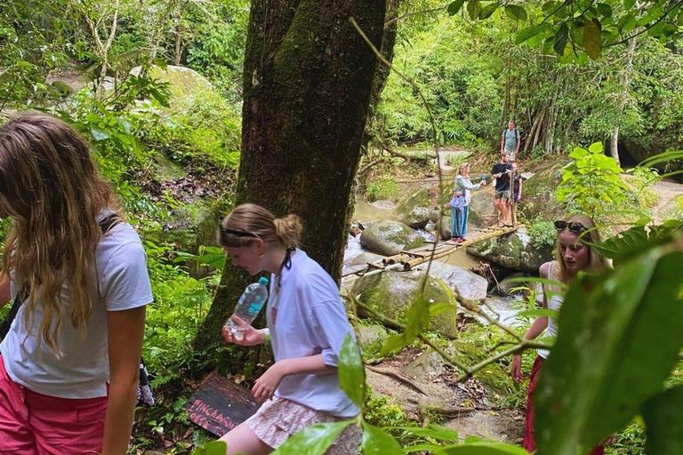 Wycieczka po mieście Minca: historia, muzea i przyrodaWycieczka po miejscowości Minca: historia, muzea i przyroda
