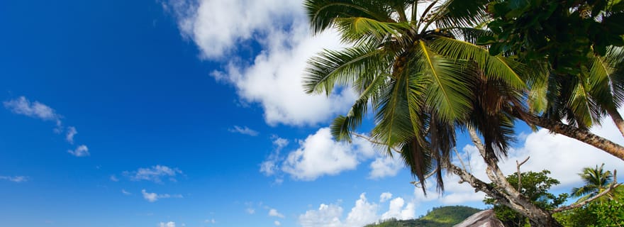 Circuit d'aventure sur la plage tropicale