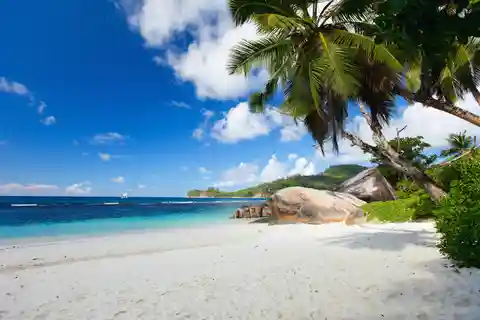 Circuit d'aventure sur la plage tropicale