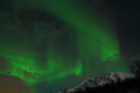 From Tromsø: Aurora Bus Tour with Snacks, Photos, and Drinks 4-Hour Tour