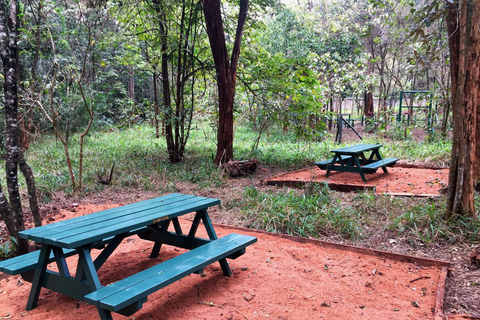 Nairobi: Trilho natural e caminhada na floresta de Karura