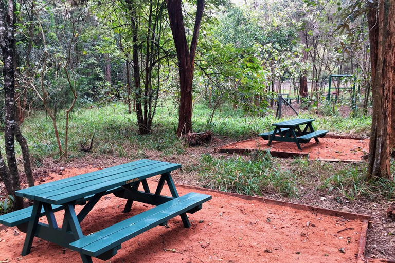 Nairobi: Trilho natural e caminhada na floresta de Karura