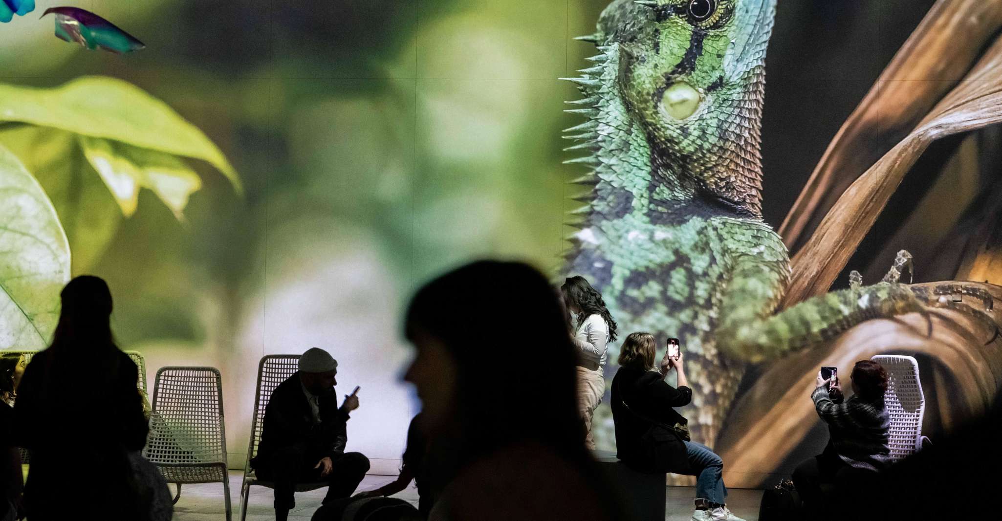 Montreal: OASIS Immersion Entry Ticket photo 6