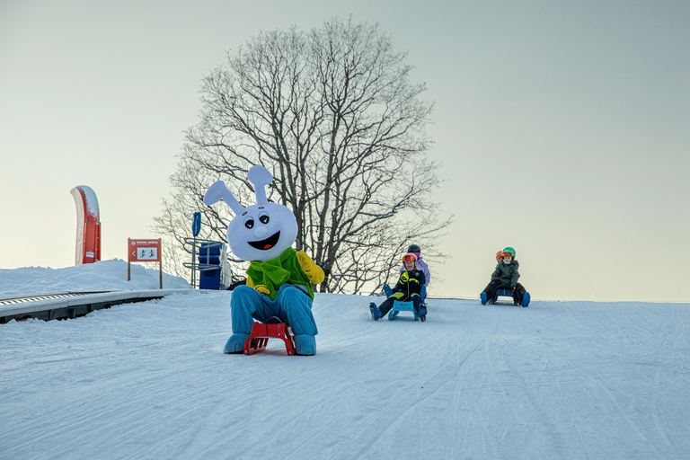 Grindelwald: Sledding at Bodmi Arena