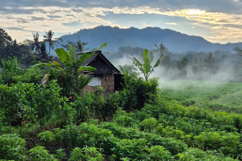 Sidemen Tour with Optional Koli Koli Day Club Visit Sidemen Tour from Ubud or Sanur