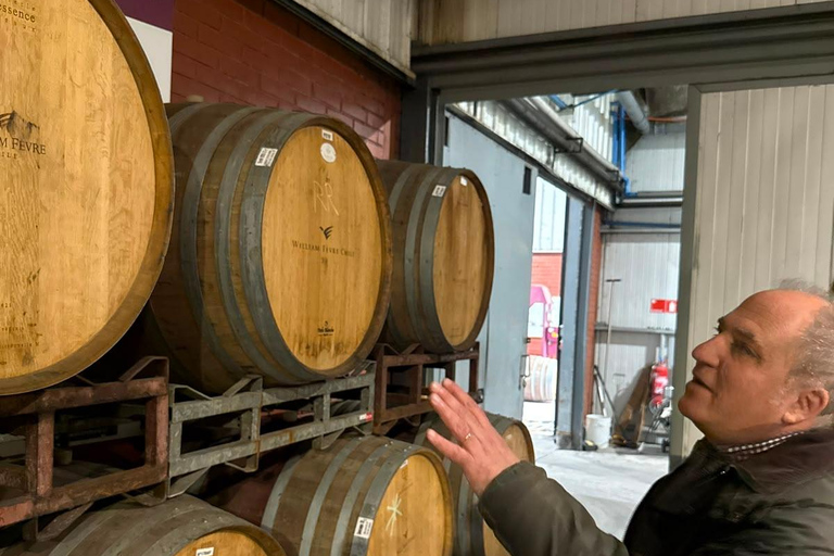 From Santiago: Casa Fevre Tour with Wine Tasting
