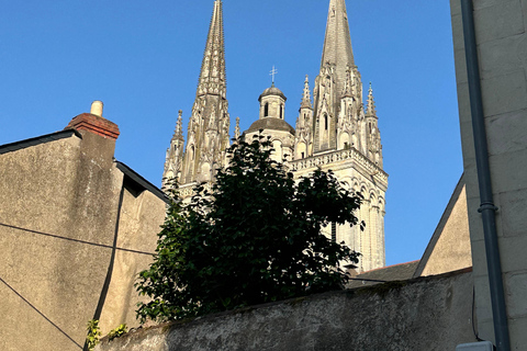 Angers: Château d'Angers, Wine Tasting, and Lunch Tour