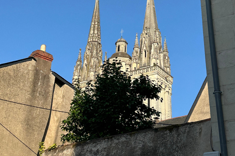 Angers: Château d'Angers, Wine Tasting, and Lunch Tour