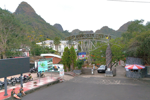 Half Day Hiking to Cat Ba National Park with a Guide