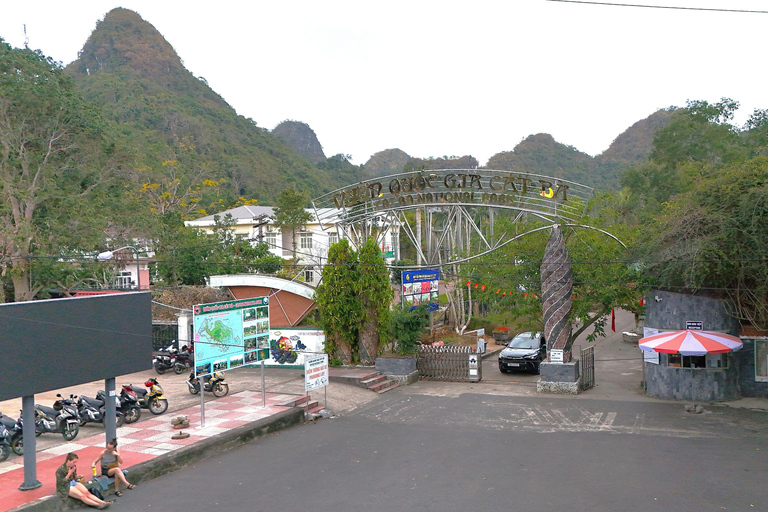 Half Day Hiking to Cat Ba National Park with a Guide