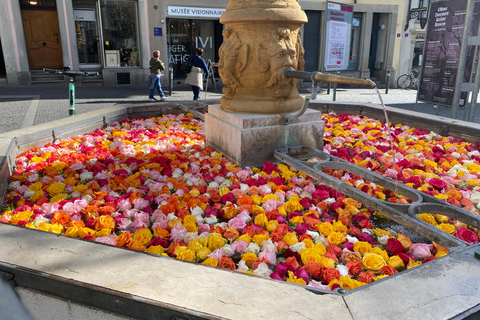 Zurich City Essential Walking Tour with Polybahn: 5 hours