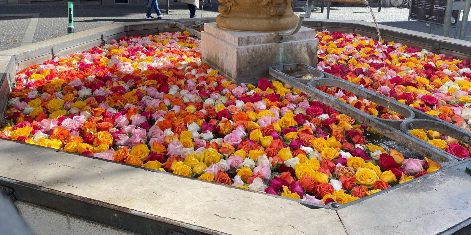 ポリバーンで行くチューリッヒ市内の必見スポットウォーキングツアー（5時間） | GetYourGuide