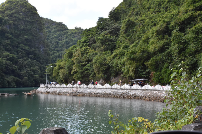 Cat Ba : Lan Ha, baie de HaLong journée complète - vélo, kayak, déjeunerCat Ba : Lan Ha &amp; Ha Long Bay Boat Tour w/Kayak, Bike &amp; Lunch