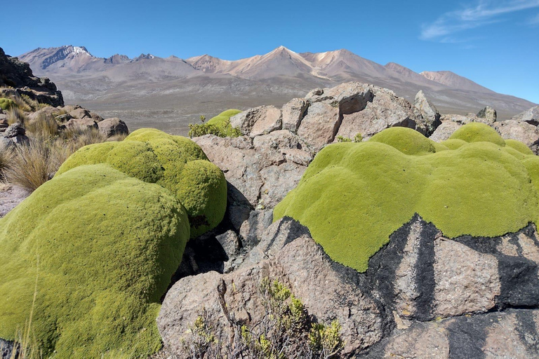 Arequipa: Chachani Volcano Guided Trek with Meals-two days