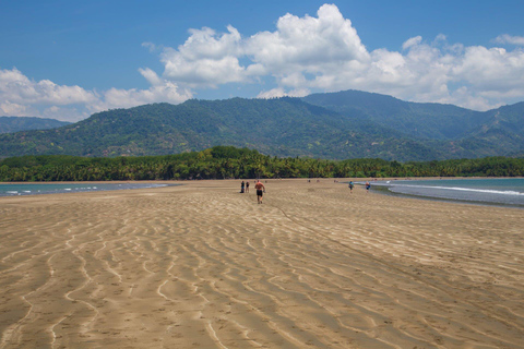 Costa Rica: Tour particular para observação de golfinhos e baleias em Uvita