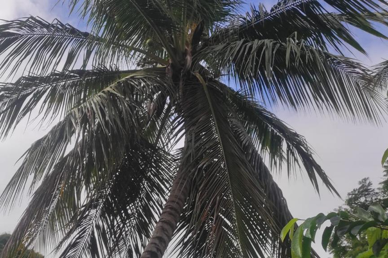 Puerto Plata City Tour: Historic Center & Countryside Ride