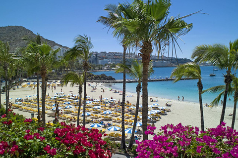 Essentials of the south of Gran Canaria Guided bus tour with pick-up from Las Palmas