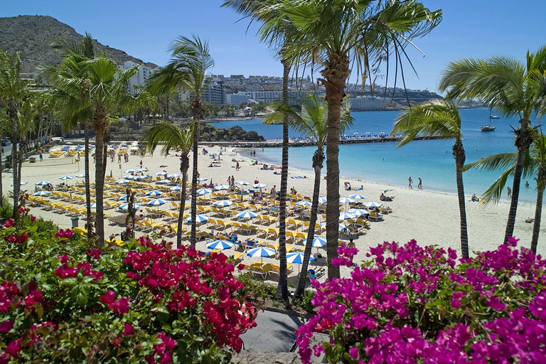 Essentials of the south of Gran Canaria Guided bus tour with pick-up from Las Palmas