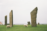 Excursión en tierra Kirkwall, Small Group Highlights of Orkney - Housity
