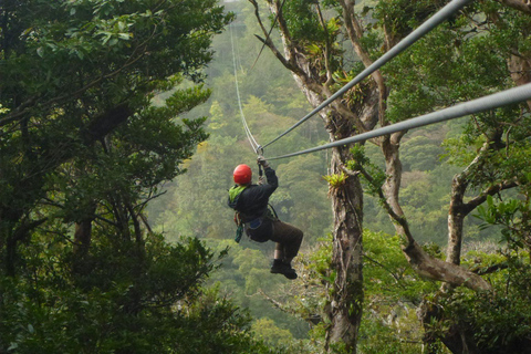 Monteverde: Aventura en el dosel del Bosque Nuboso de Monteverde