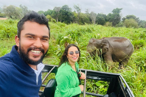 Excursión privada de un día de Kandy a Sigiriya y Safari por Minneriya