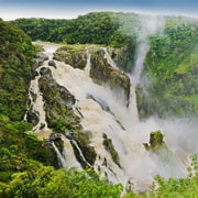Cairns: Forest and Waterfalls Half-Day 4WD Guided Adventure