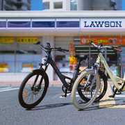 Best of Kyoto: the Bamboo Forest & Golden Temple E-Bike Tour
