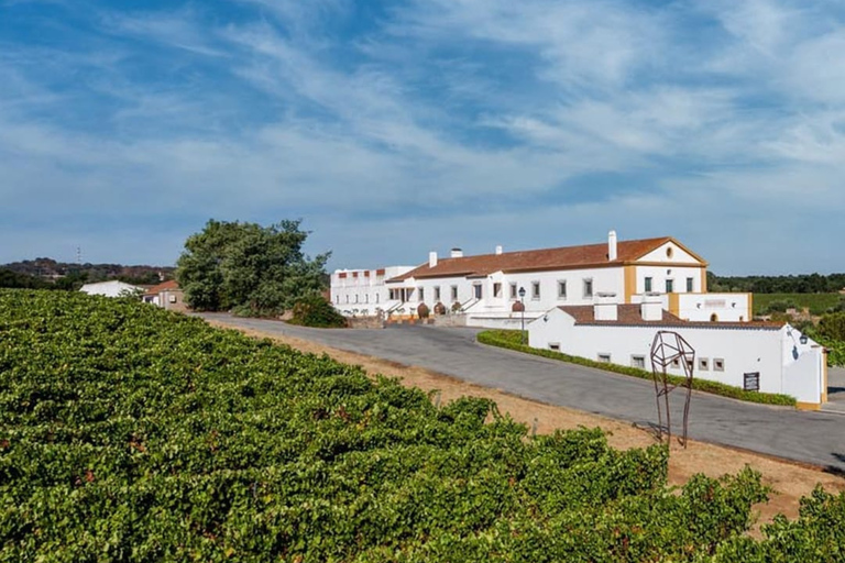 Lisbon: Évora (w/ Cathedral & Bones), Cartuxa & Cork Factory