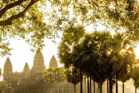Siem Reap Mezza giornata: Angkor Wat e Ta Prohm Orari non turisticiConcentrati solo sulle ore migliori di Angkor Wat