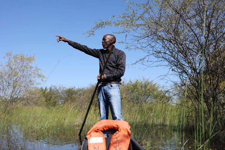 Maun: Okavango Delta Mahango Mokoro Tour with Local Guide