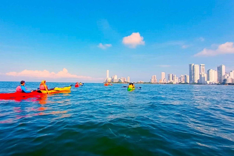 Tierra Bomba: Day trip + Lunch + Transport from Cartagena