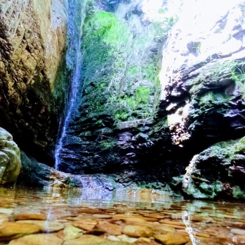 Visit Dwarsrivier Waterfall Hike in Stellenbosch