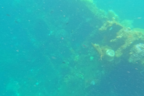 REEF AND WRECK - JAPANESE WWII AND CORAL GARDEN SNORKELING