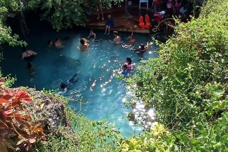 ZANZIBAR: Blue Lagoon, Jozani Forest, havssköldpaddor och The RockZANZIBAR: Blå lagunen, Jozani-skogen, havssköldpaddor och klippan