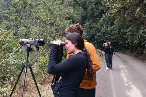 Da Cusco: 5 giorni di esplorazione e connessione nella Zona Riservata del ManuDa Cusco: 5 giorni di esplorazione e connessione nella Zona Riservata di Manu