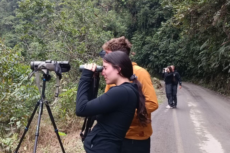 Da Cusco: 5 giorni di esplorazione e connessione nella Zona Riservata del ManuDa Cusco: 5 giorni di esplorazione e connessione nella Zona Riservata di Manu
