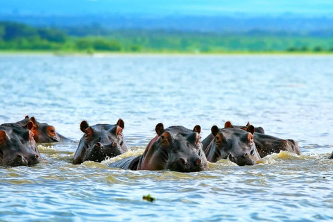 Dagsutflykt till nationalparken Hell&#039;s Gate och NaivashasjönHell&#039;s Gate National Park och Lake Naivasha Dagsutflykt