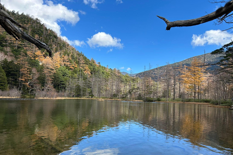 Nagoya: Japanese Alps "Kamikochi" One-Day Round-trip Tour Japanese Alps [Kamikochi One Day Tour]｜Nagoya to Kamichochi