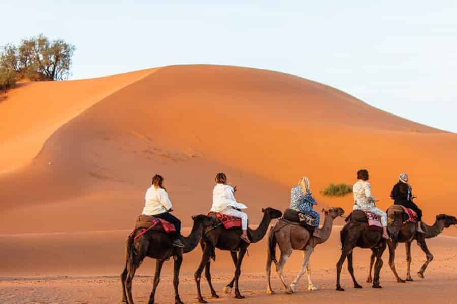 Ab Casablanca: 10-tägige Marokko-Tour in das Atlasgebirge und die Wüste. Foto: GetYourGuide Ab Casablanca: 10-tägige Marokko-Tour in das Atlasgebirge und die Wüste. Foto: GetYourGuide