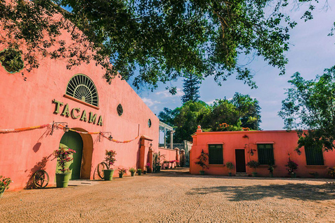 Tour de Cata de Pisco y Vino - Embarcándote en la Ruta del Pisco