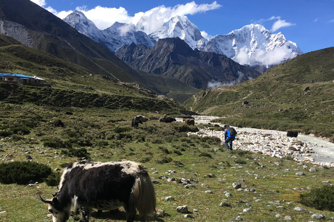 Everest Base Camp & Gokyo Lake Helicopter Flight landing Gokyo Lake Helicopter Flight Tour with Breakfast
