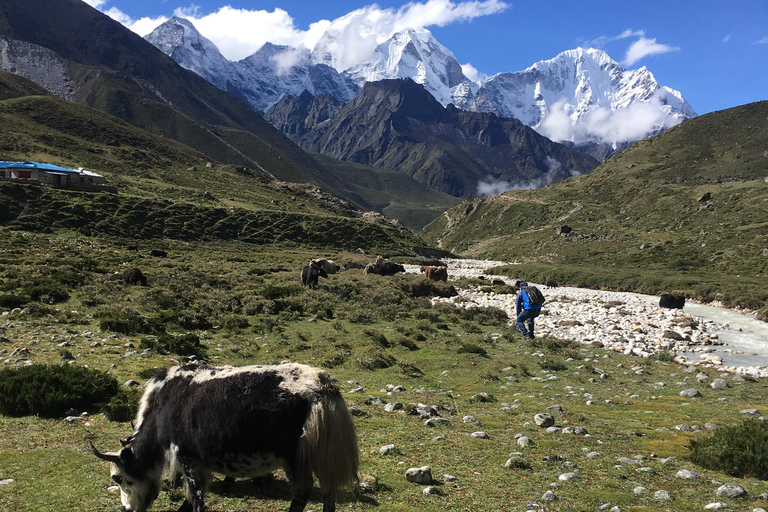 Everest Base Camp & Gokyo Lake Helicopter Flight landing Gokyo Lake Helicopter Flight Tour with Breakfast