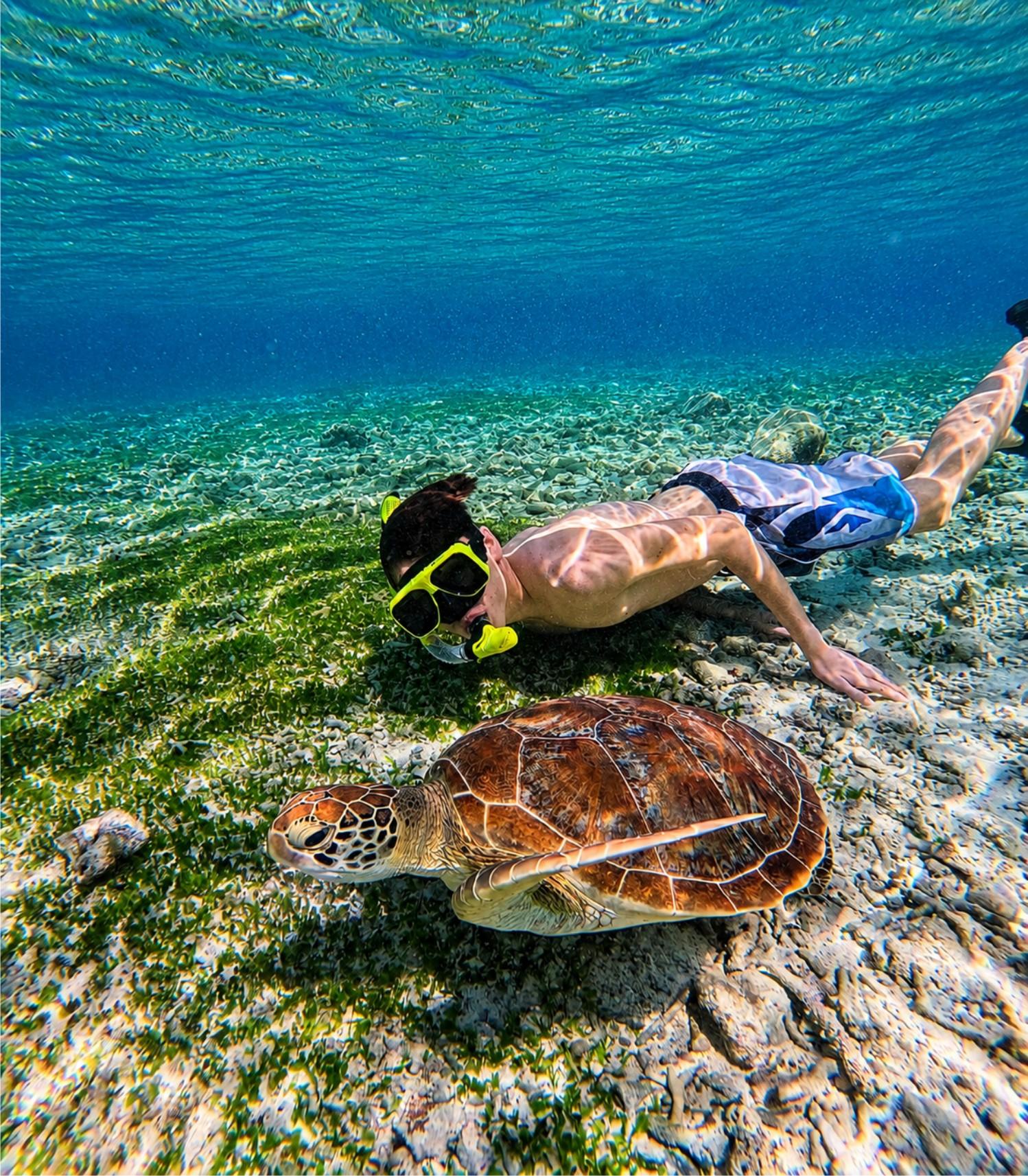 Gili Air: Schnorcheln mit Meeresschildkröten, Statue & GoPro-Kamera