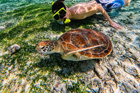 Gili Air: Private 4-Hour Snorkeling Tour