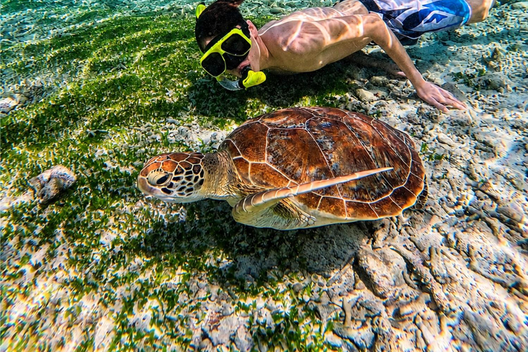 Gili Air: Private 4-Hour Snorkeling Tour
